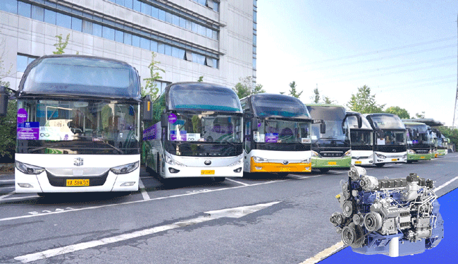 w88win优德(中国)官方网站